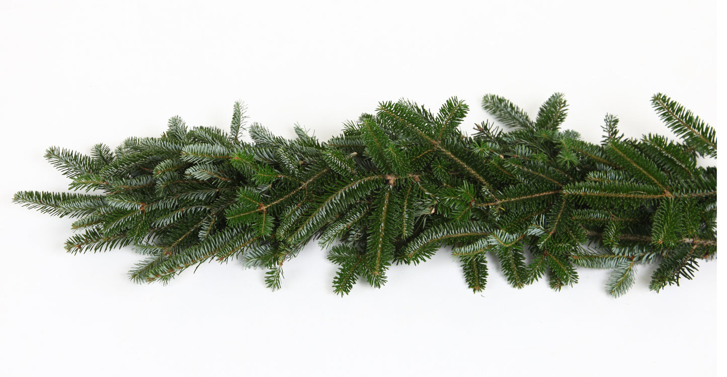 Fresh Fraser Fir Garland
