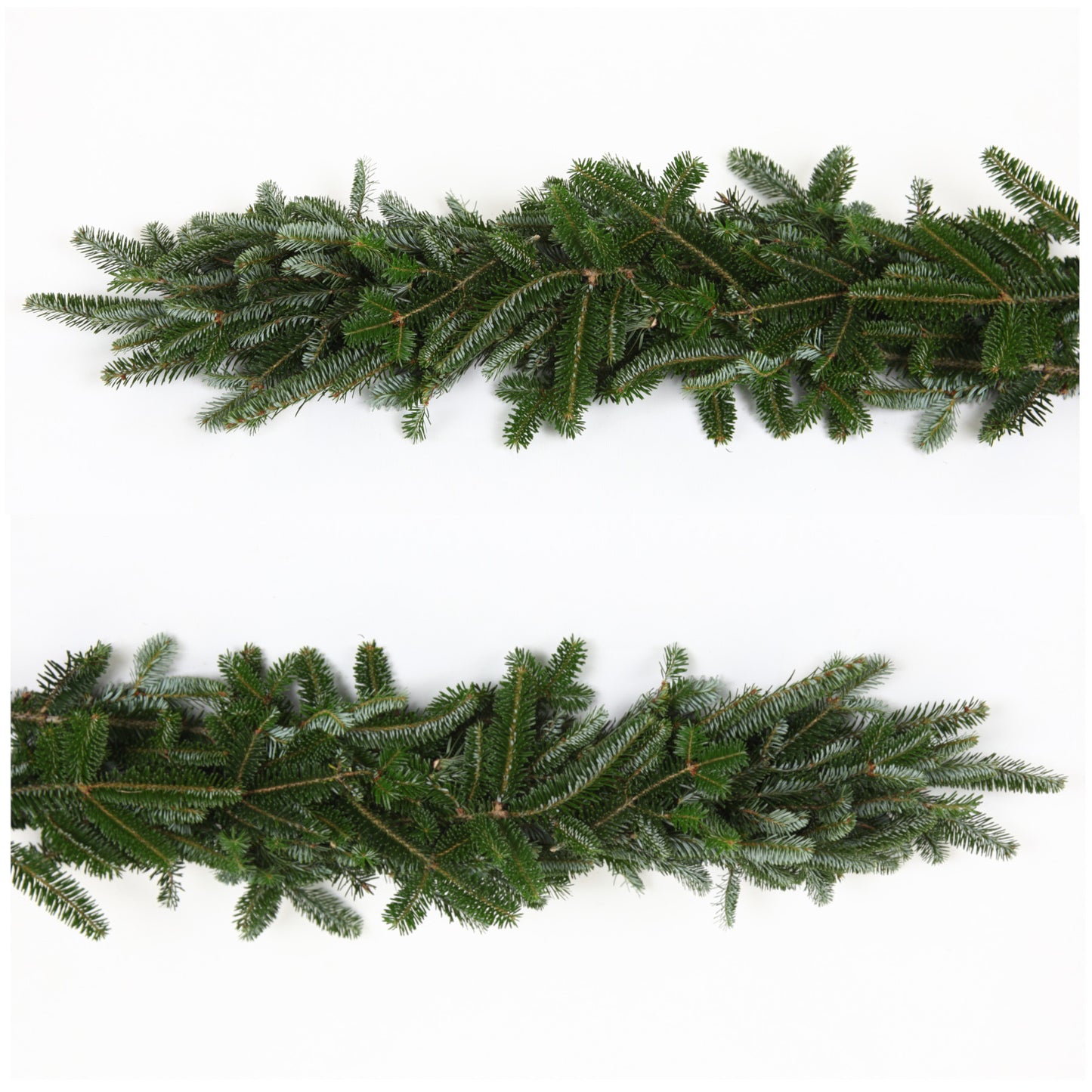 Fresh Fraser Fir Garland