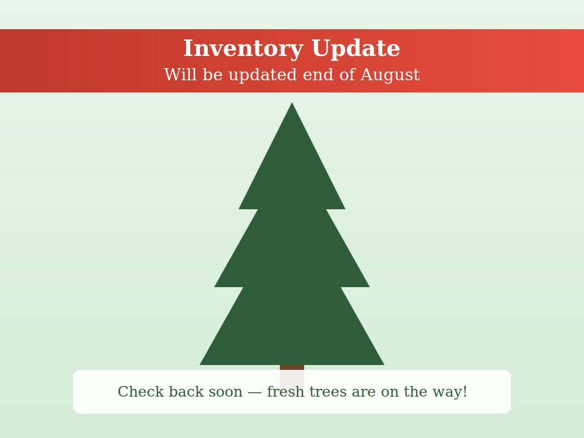 Blue Spruce Real Christmas Tree