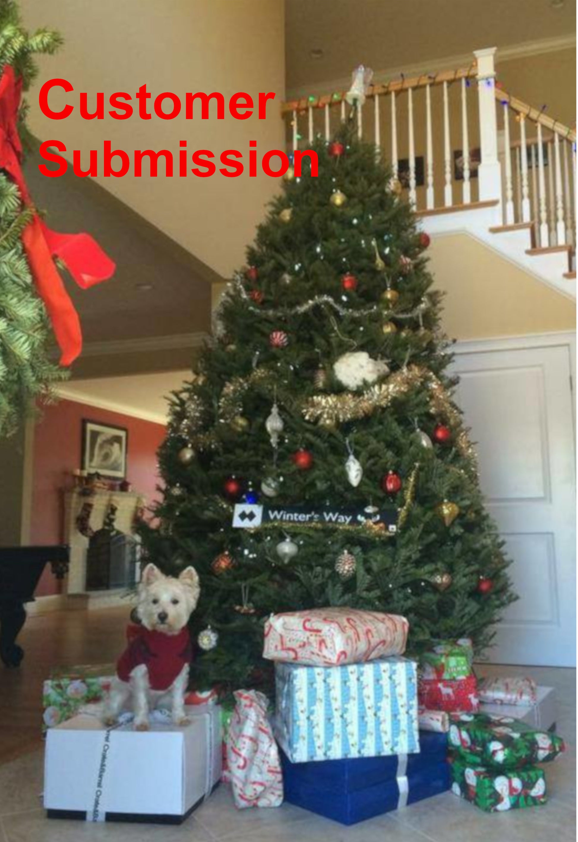 balsam fir christmas tree delivery