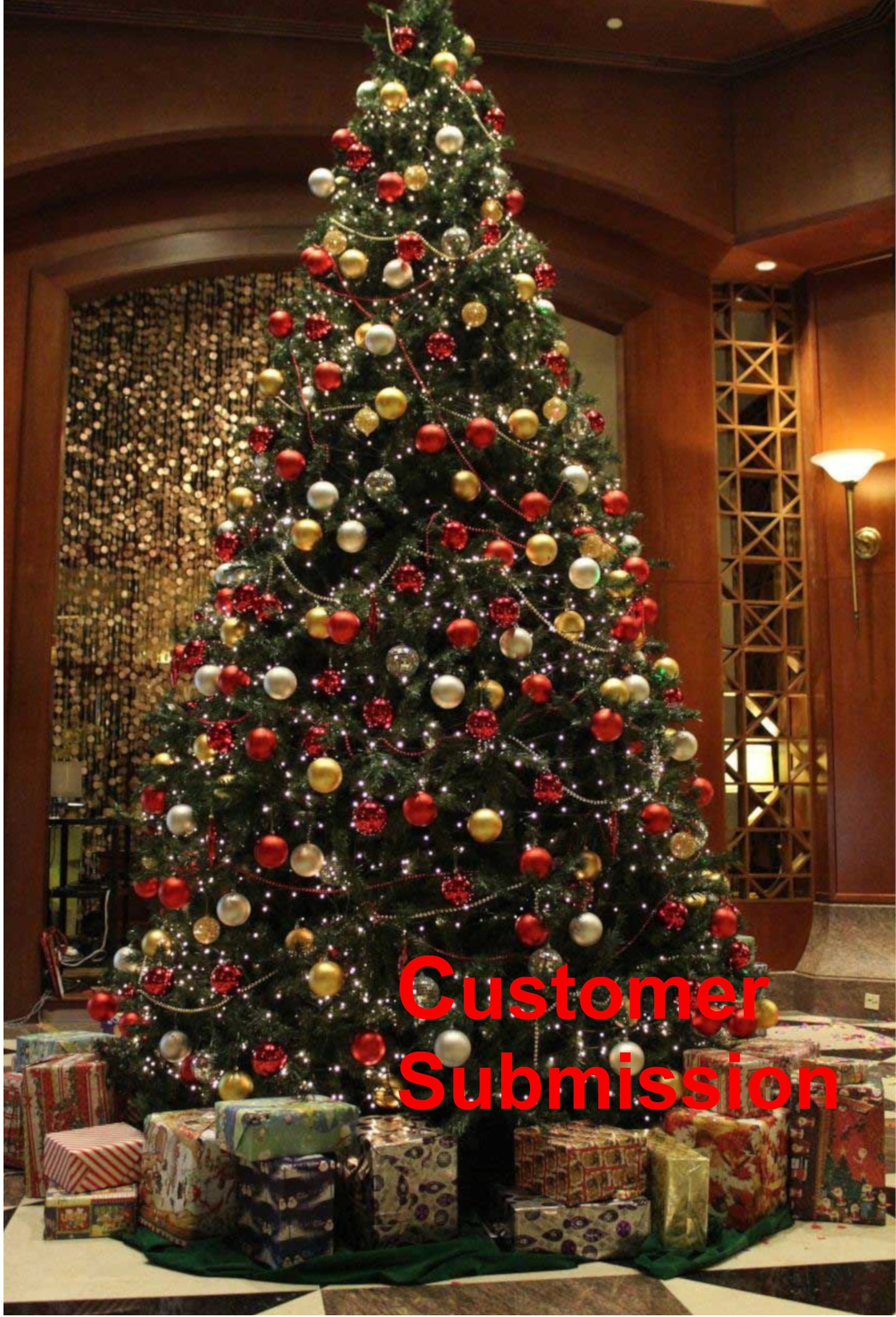 Real Christmas Tree Delivered 12 Foot Balsam Fir Christmas Tree