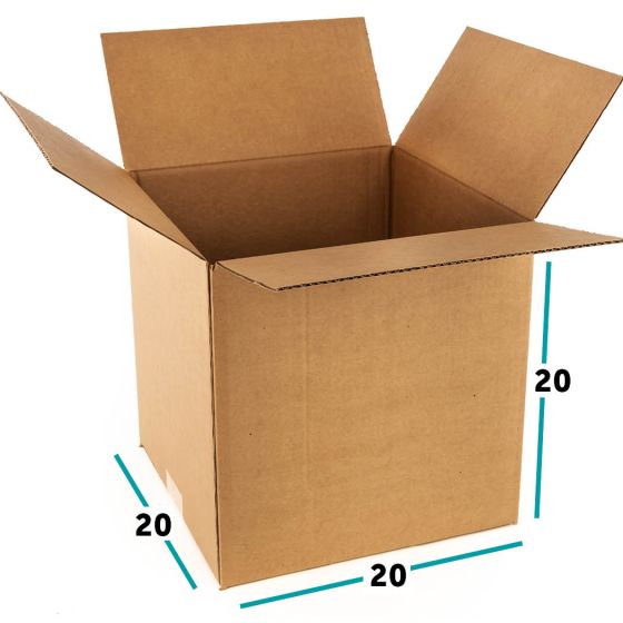 christmas branch box