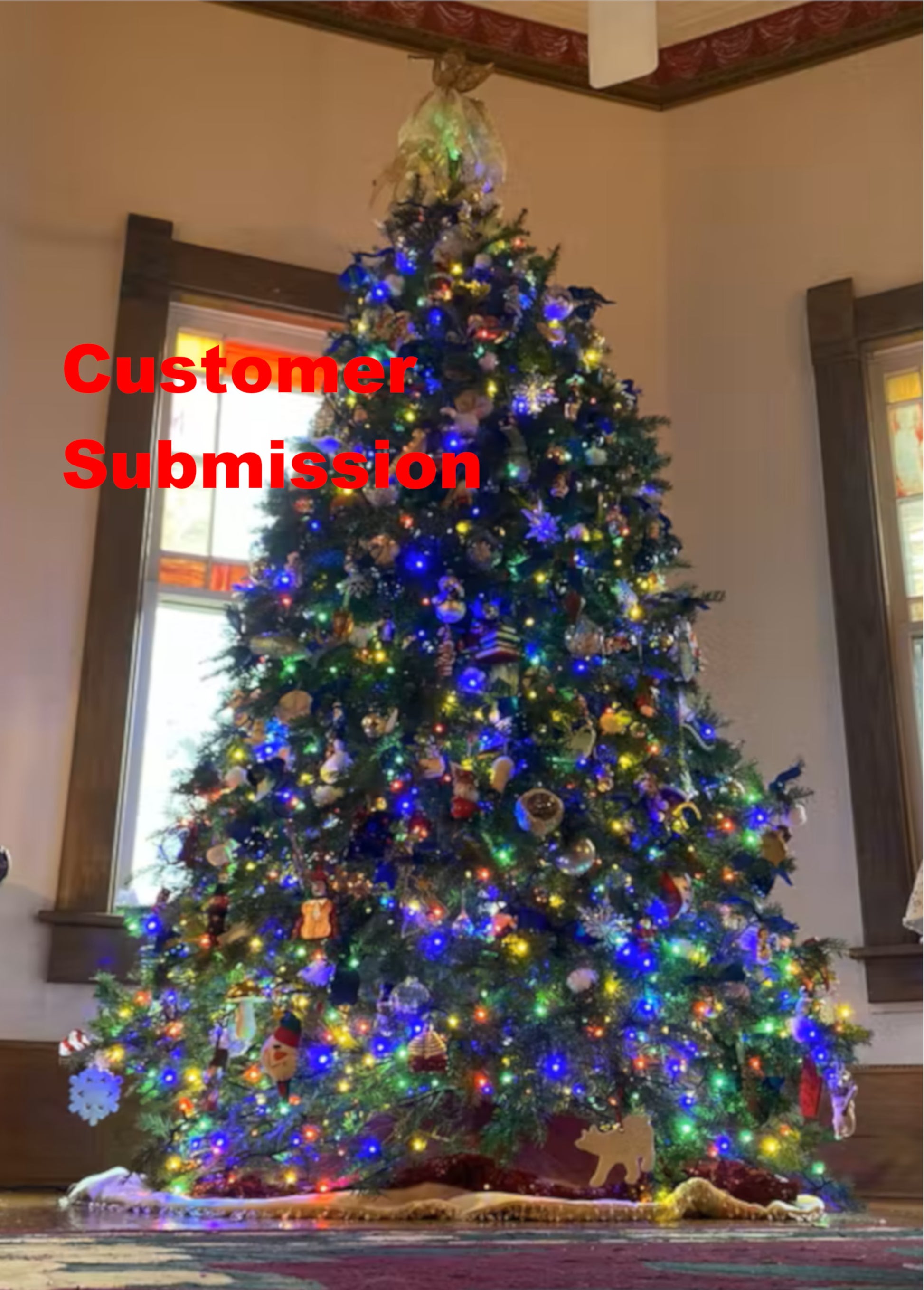 big christmas tree delivery