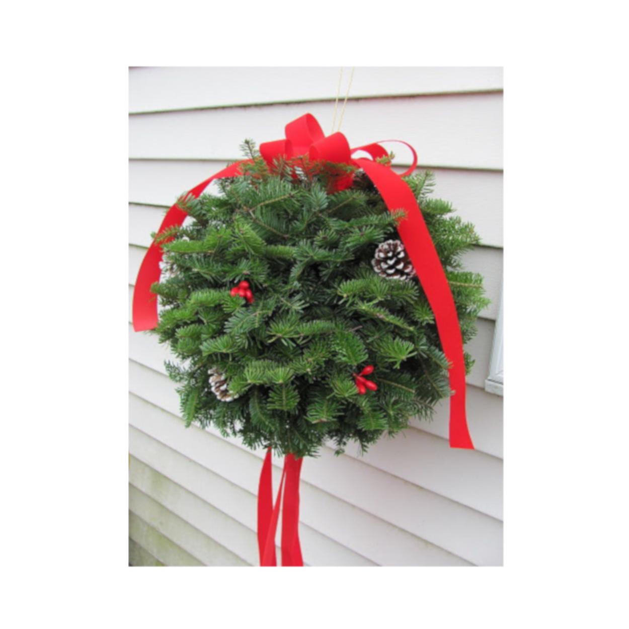 christmas kissing ball deliveryt