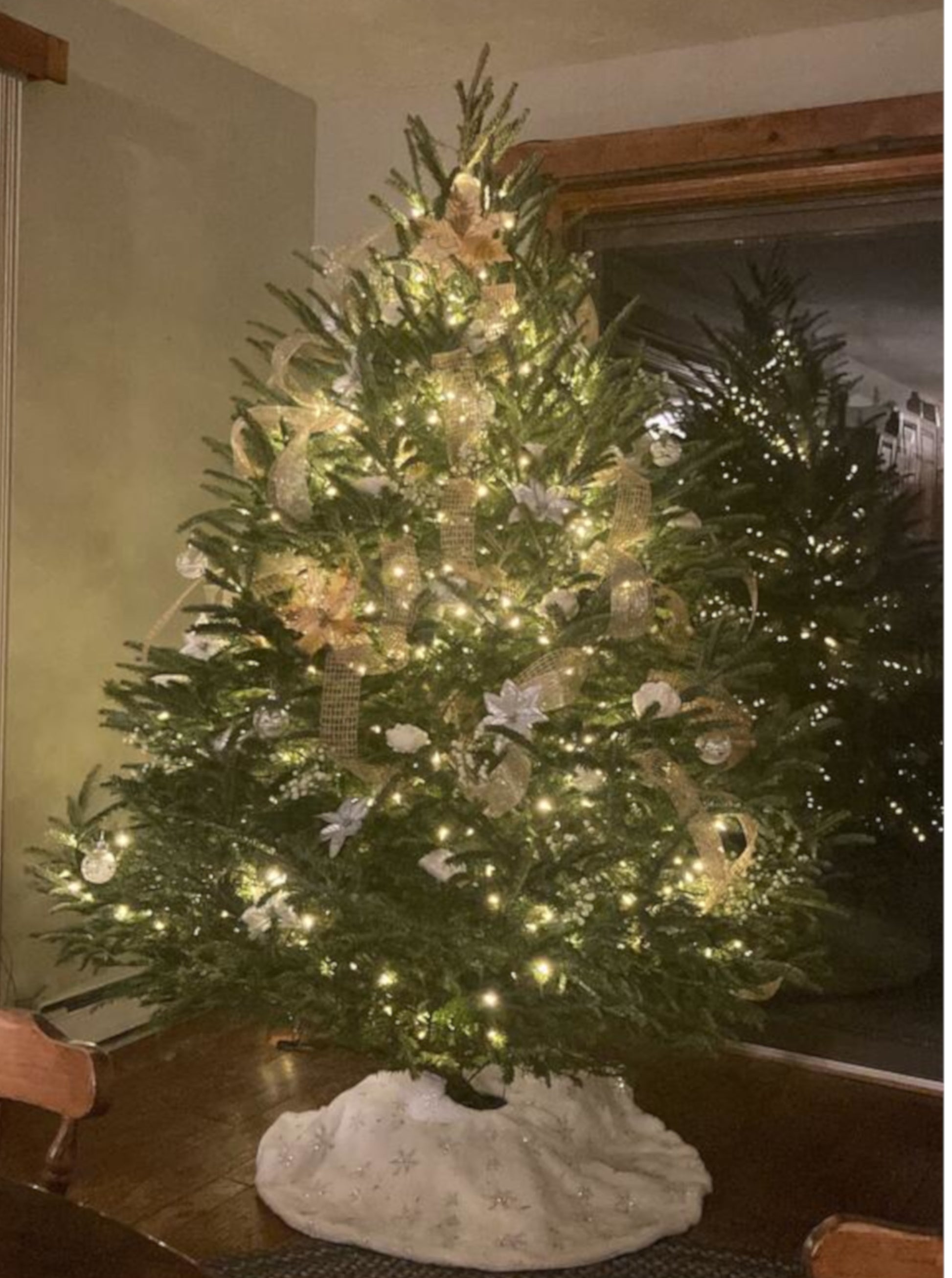 Fraser Fir decorated Christmas tree