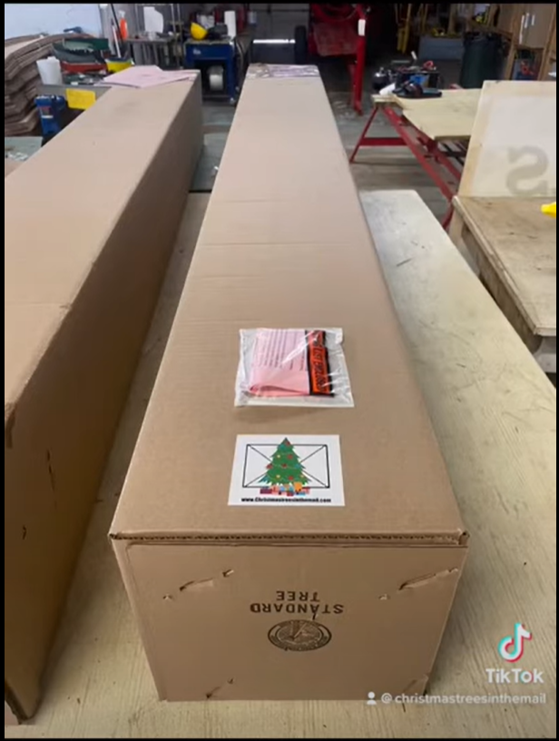 christmas tree shipping