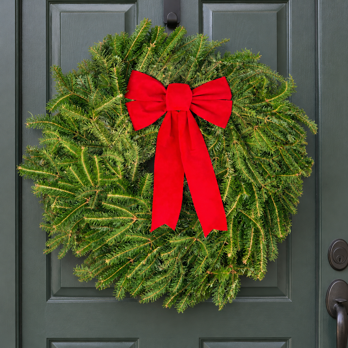 2 Pack of Fraser Fir Wreaths With Bow