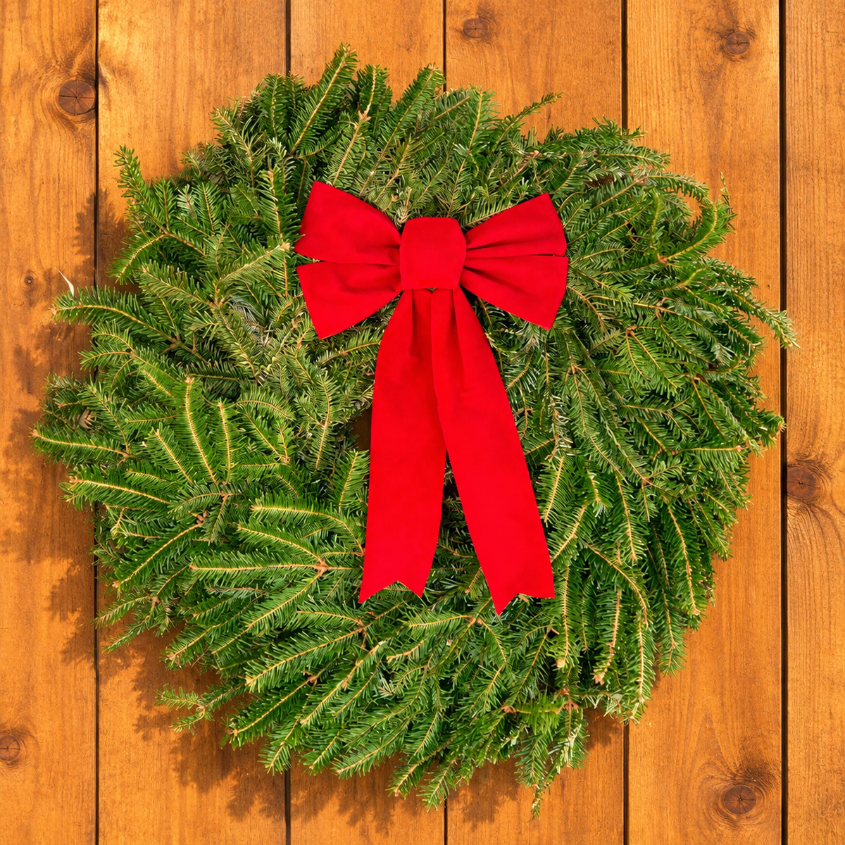 2 Pack of Fraser Fir Wreaths With Bow