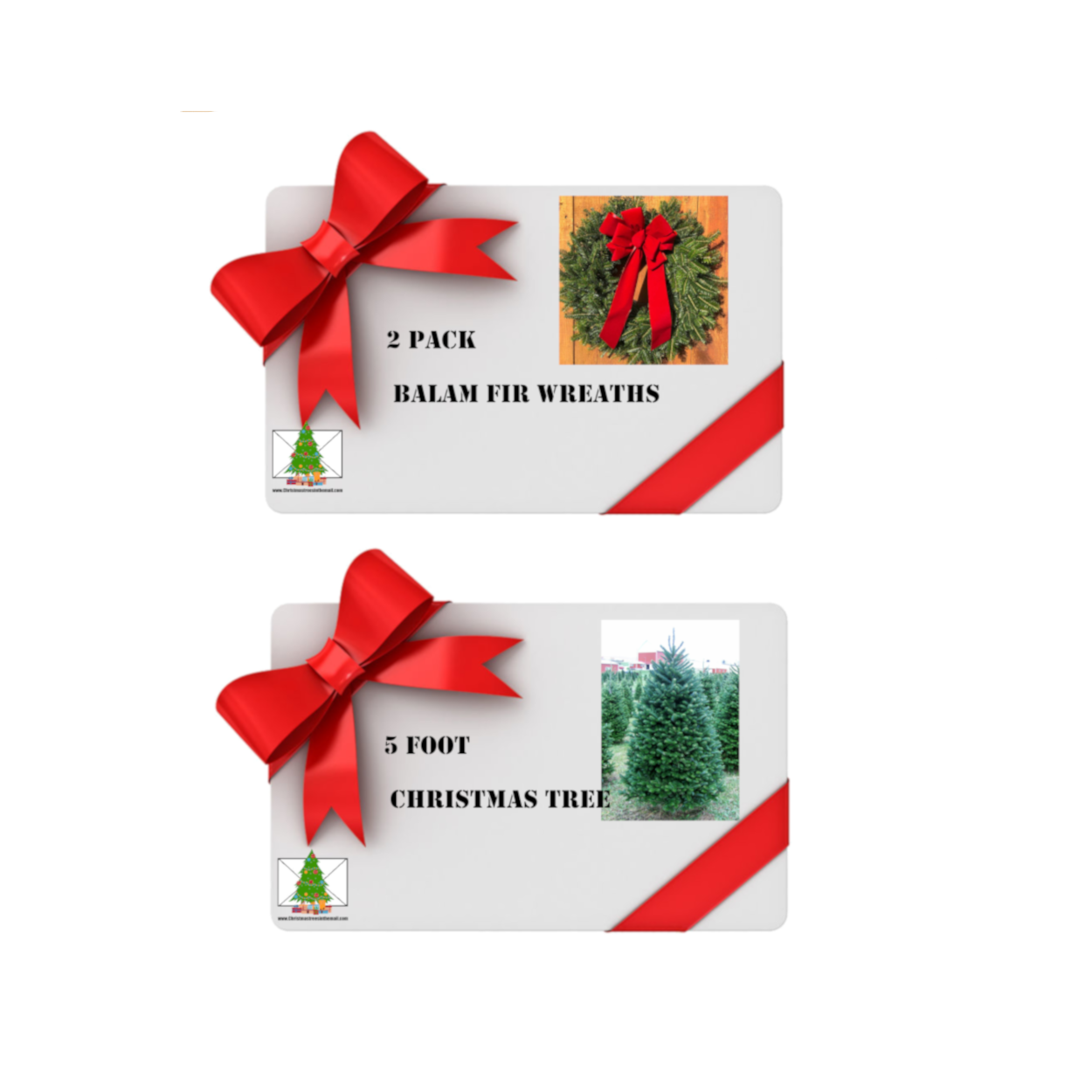 christmas trees in the mail gift card