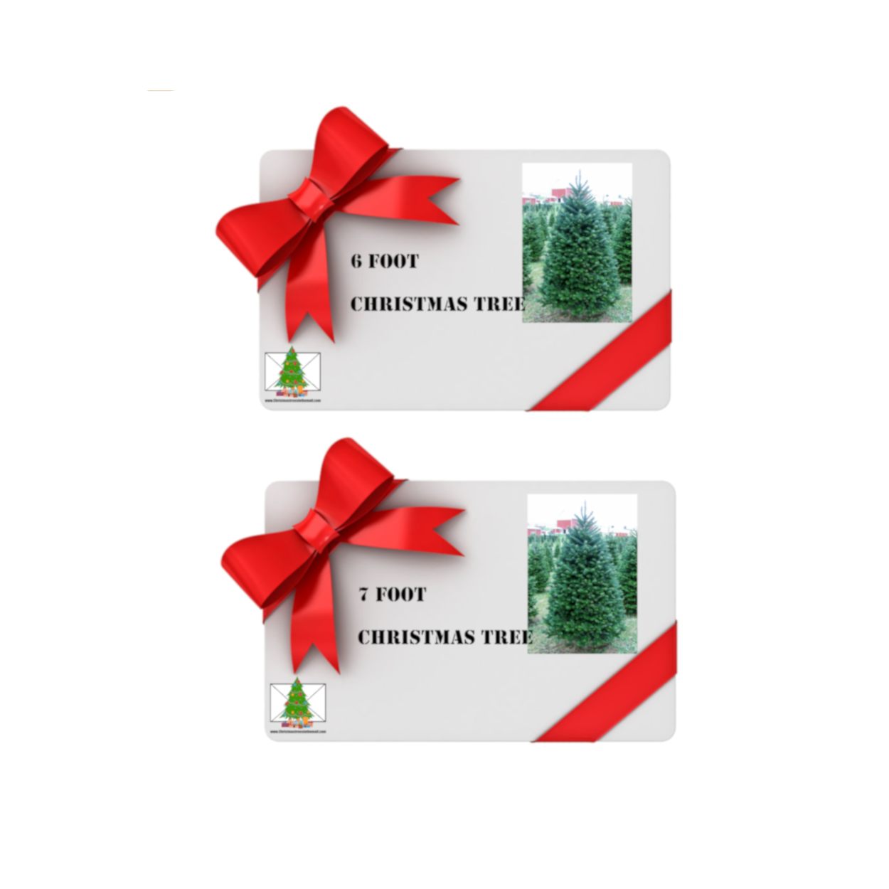 chrismas tree gift card