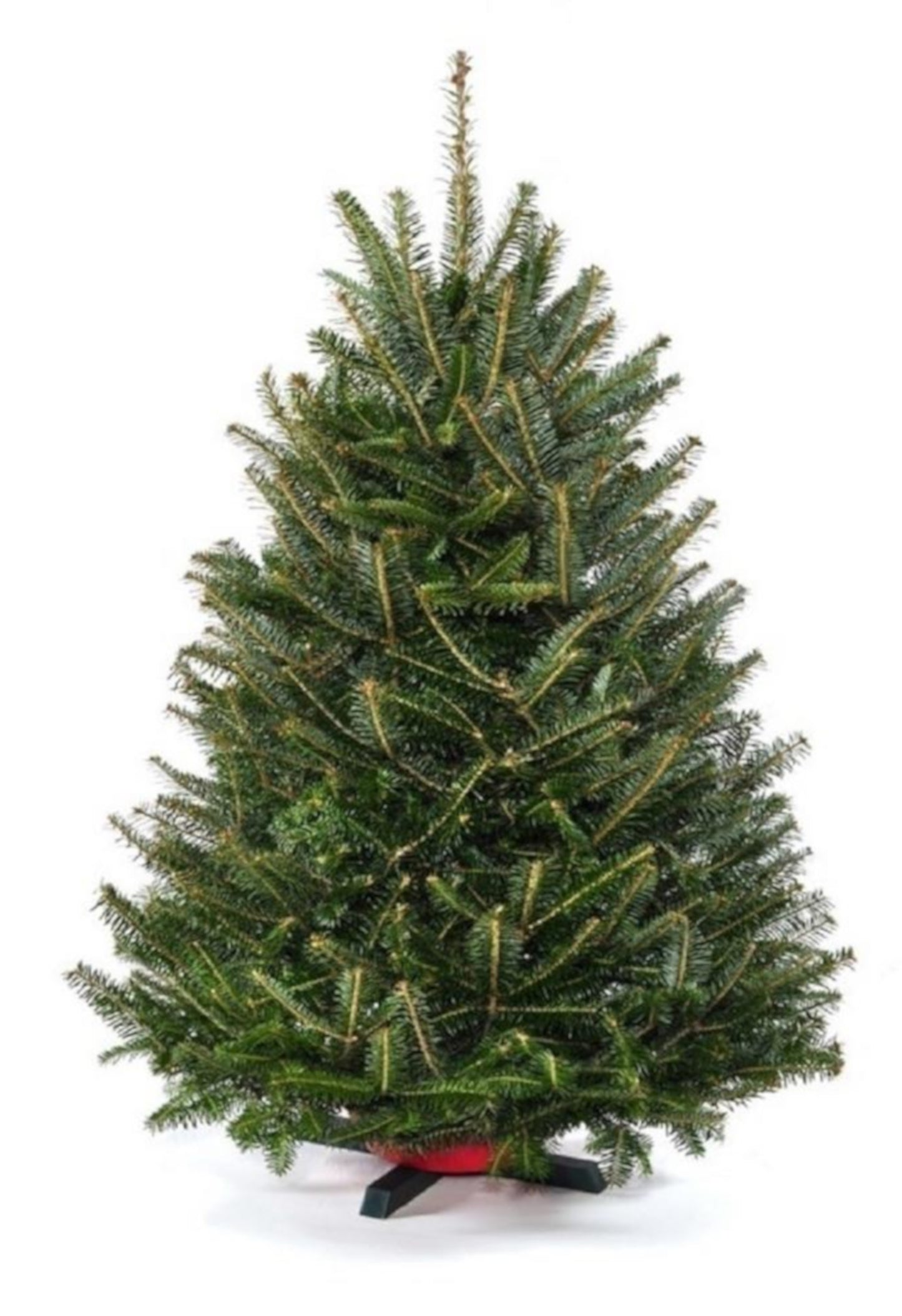small christmas trees for sale