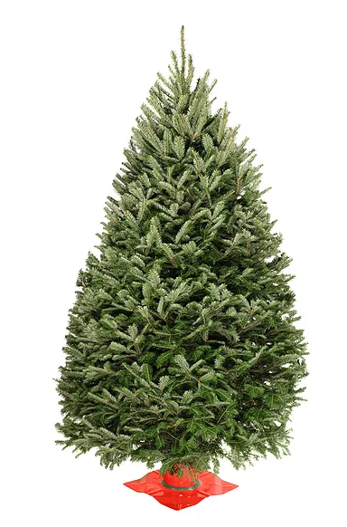 4 foot christmas tree delivered in mail