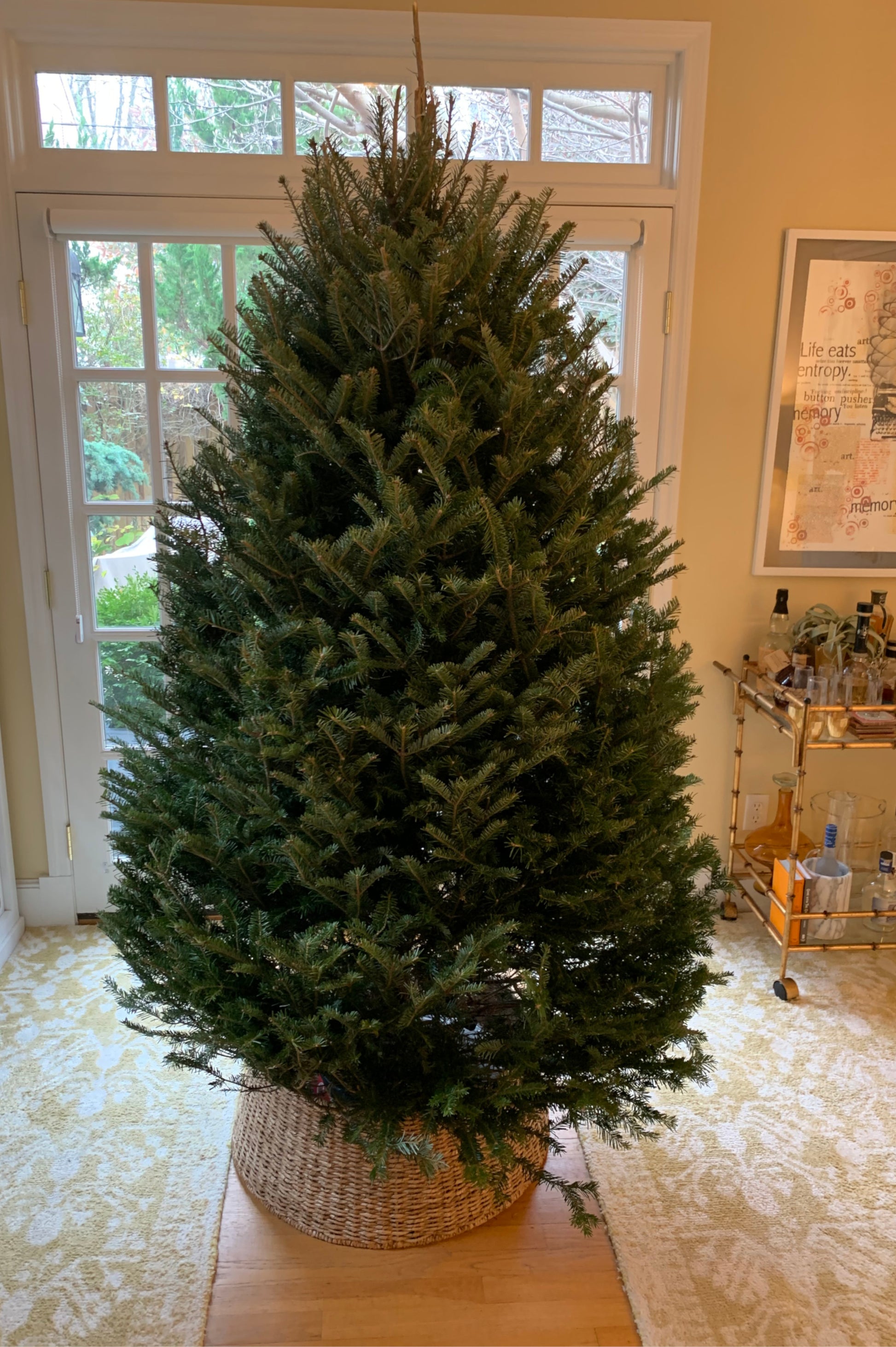 6 foot christmas tree in home