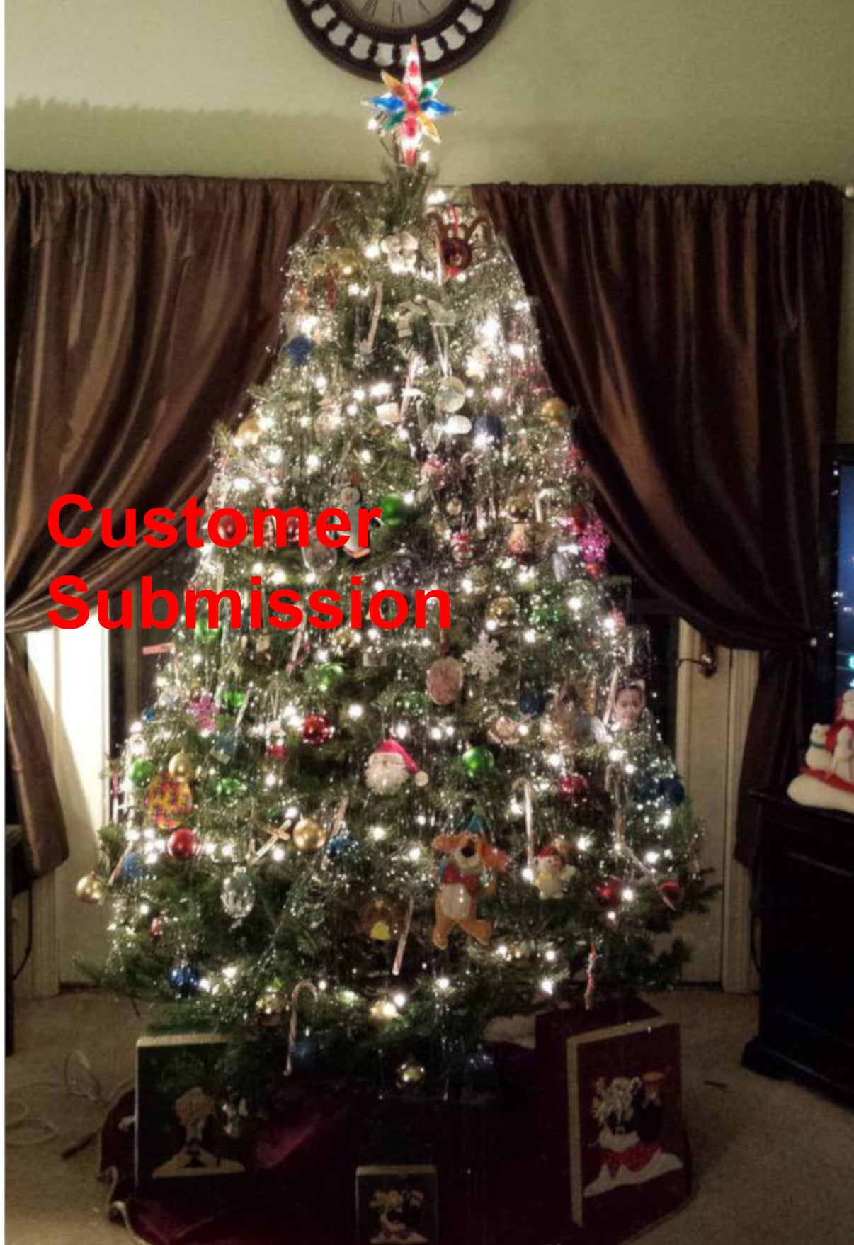 Real Christmas Trees Delivered 7 Foot BalsamFraser Fir Hybrid